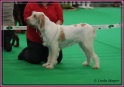 07-07-12 M GoodAsGold_IMG_7194